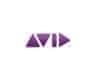 Avid Logo