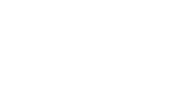 Viral Fission Logo