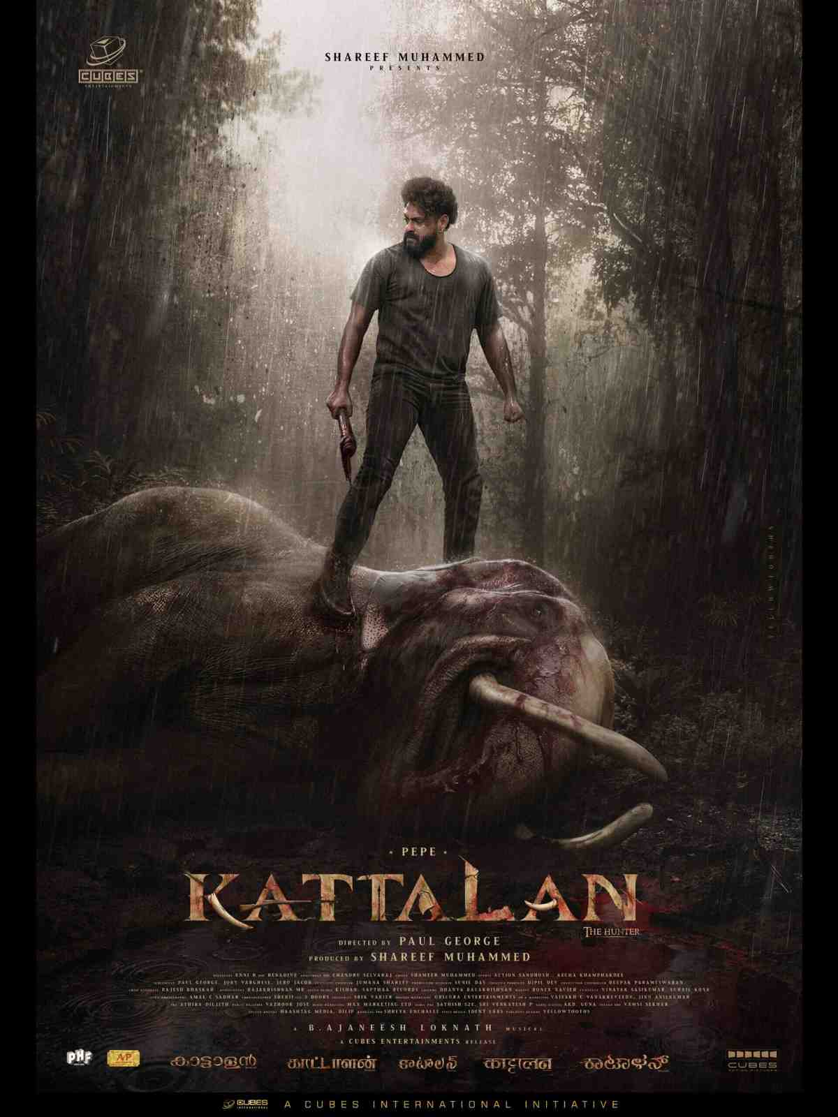 Kattalan (1)